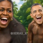 White House blames staffer for Trump’s Obama ‘apes’ post and removes video Republican labeled ‘racist’