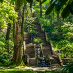 Portugal’s ancient Bussaco National Forest has become the Iberian Peninsula’s first therapeutic forest, and the reason goes beyond its trees