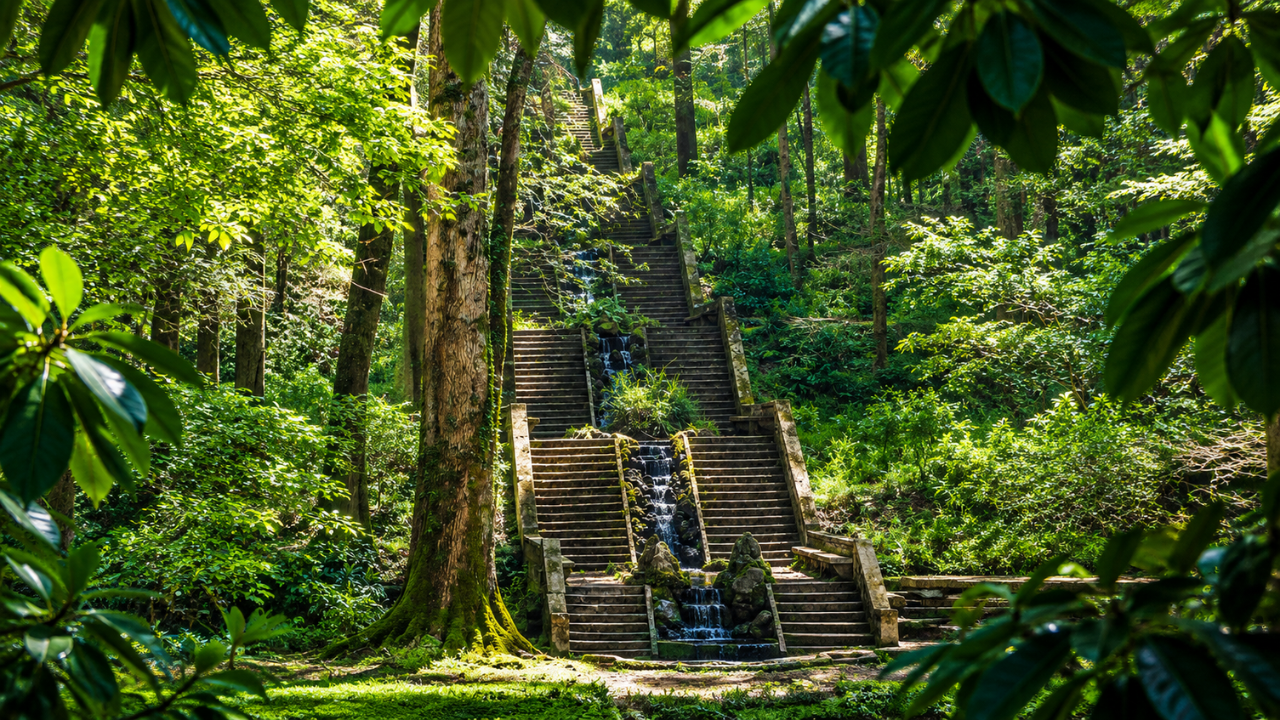 Portugal’s ancient Bussaco National Forest has become the Iberian Peninsula’s first therapeutic forest, and the reason goes beyond its trees